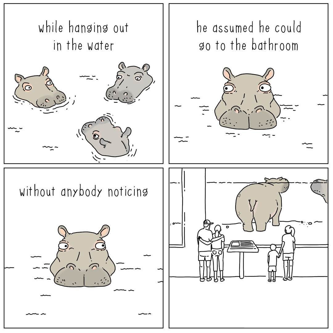 They Can Talk - Hippo in the Water - House of Cards