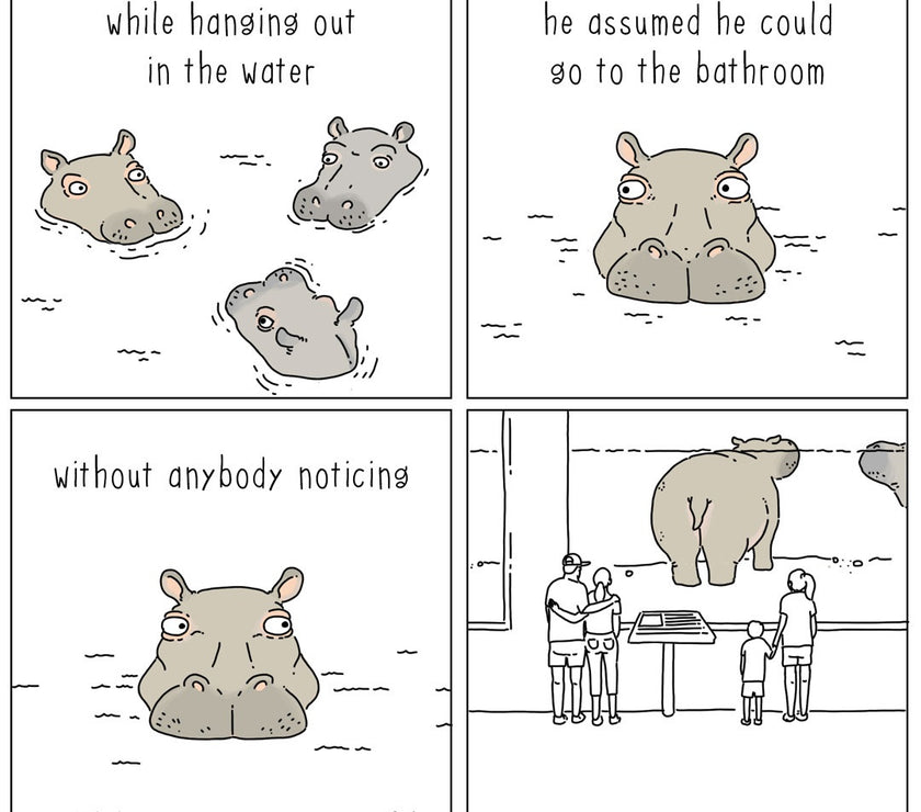 They Can Talk - Hippo in the Water