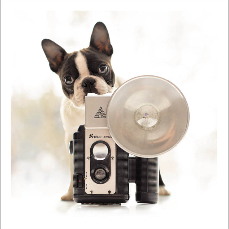 Iris The Shutterbug Loose Leashes Greeting Card by Ron Schmidt