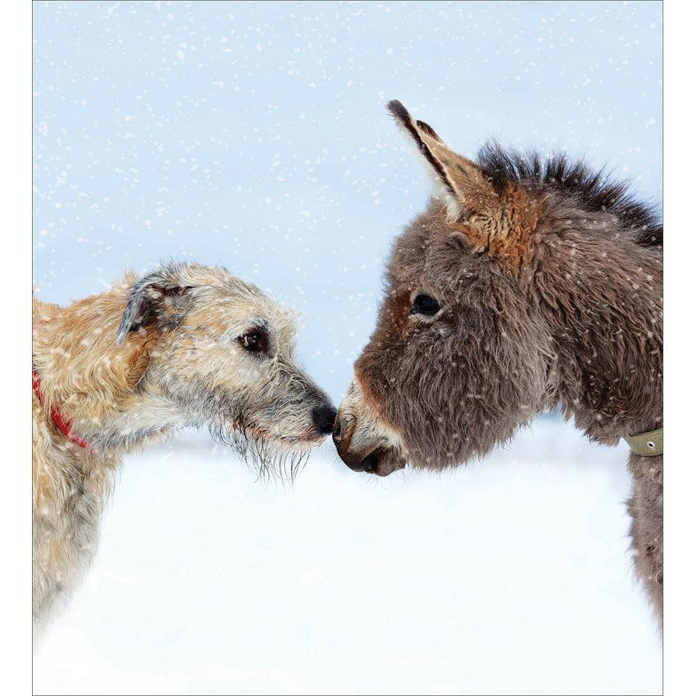 5 Dog and Donkey Charity Christmas Cards - House of Cards