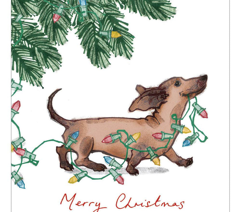 5 Dachshund Helper Charity Christmas Cards - House of Cards