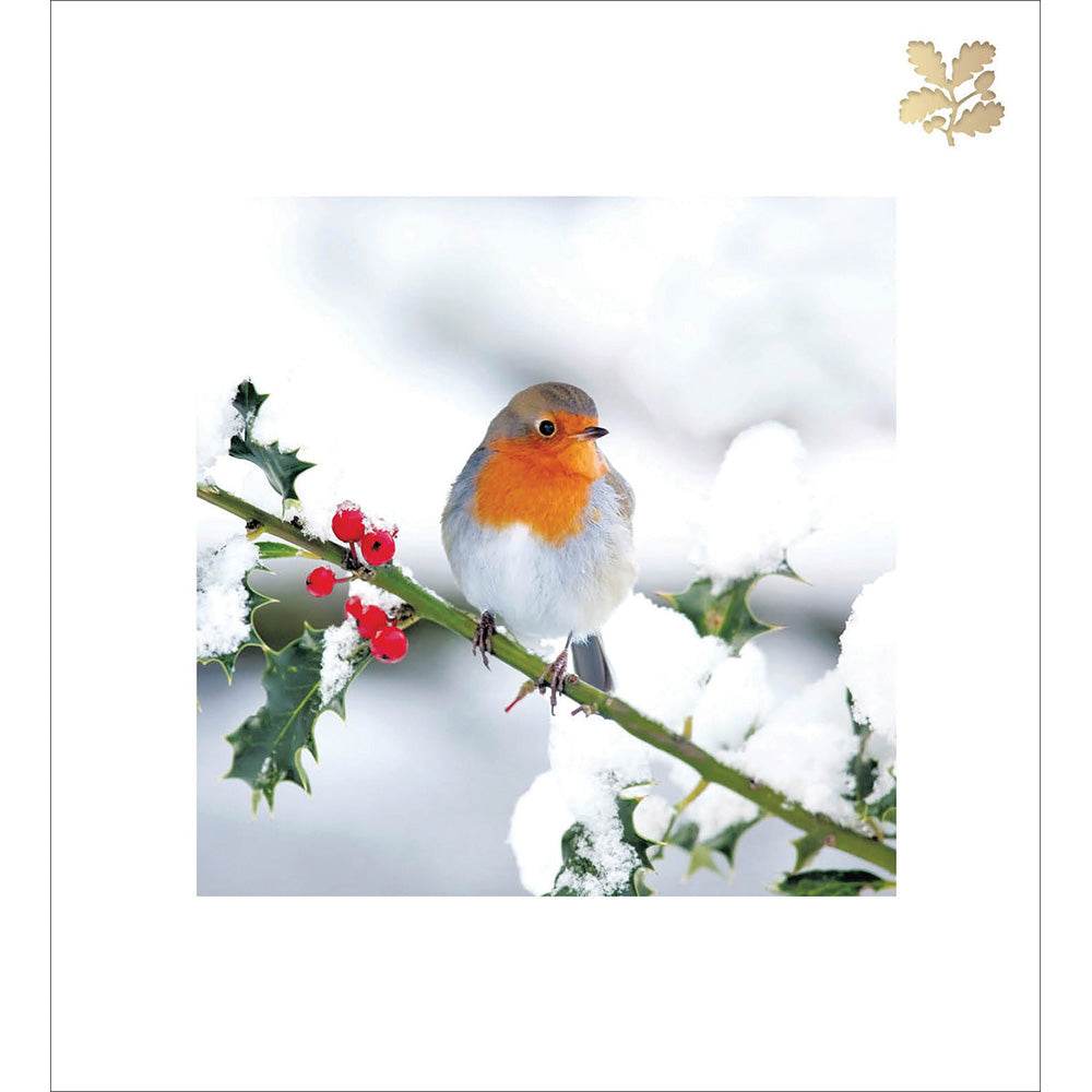 5 National Trust Festive Robin Christmas Cards - House of Cards