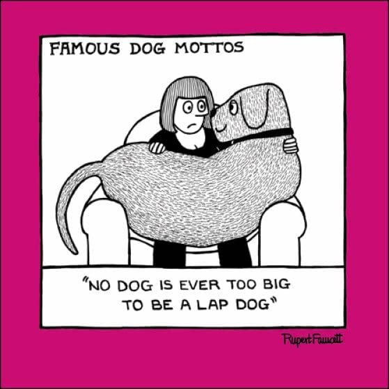 Lap Dog Greetings Card