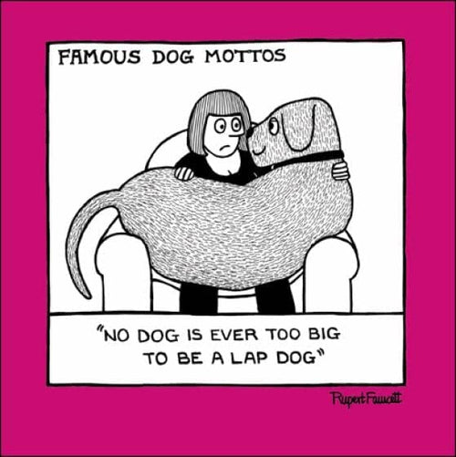 Lap Dog Greetings Card