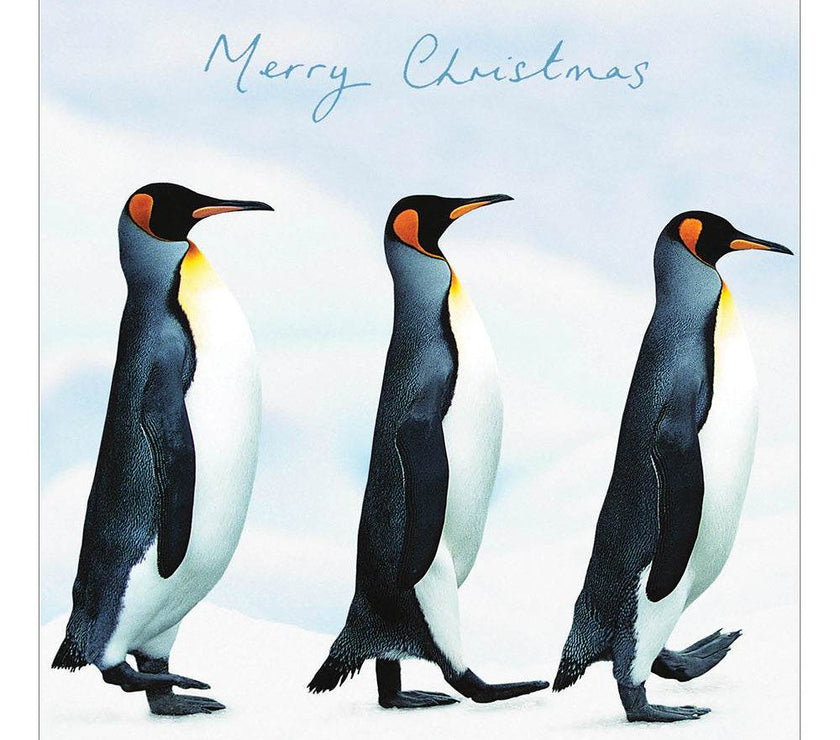5 Penguin Patrol Charity Christmas Cards - House of Cards