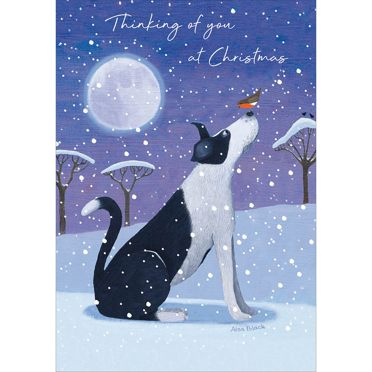 Thinking of You Dog Christmas Card