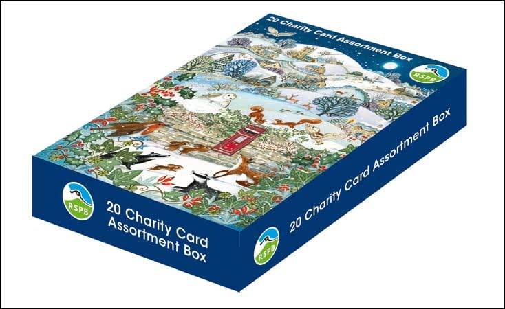 20 RSPB Assorted Charity Boxed Christmas Cards - House of Cards