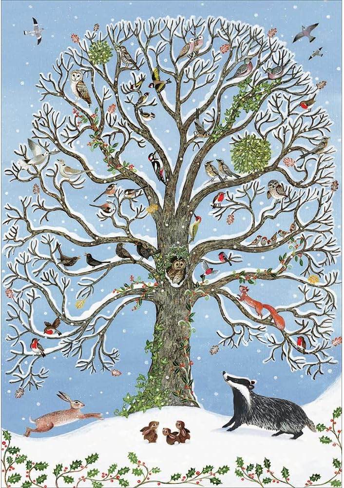 20 RSPB Assorted Charity Boxed Christmas Cards - House of Cards