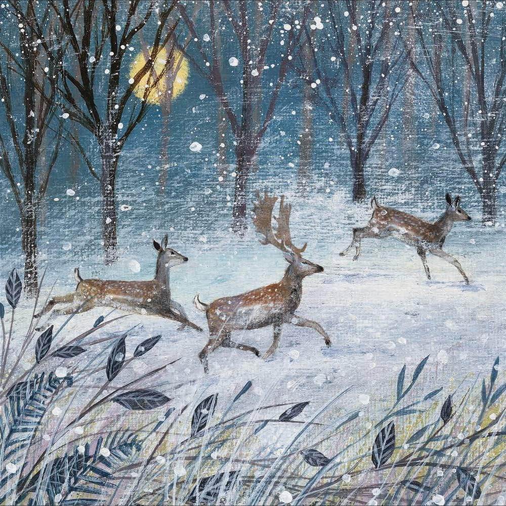 20 RSPB Assorted Charity Boxed Christmas Cards - House of Cards