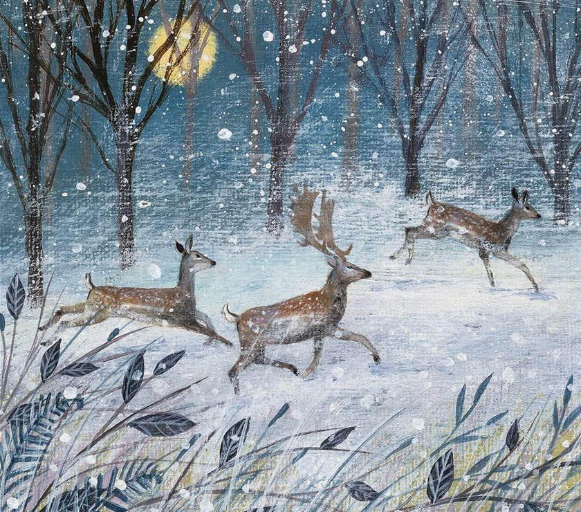 20 RSPB Assorted Charity Boxed Christmas Cards - House of Cards