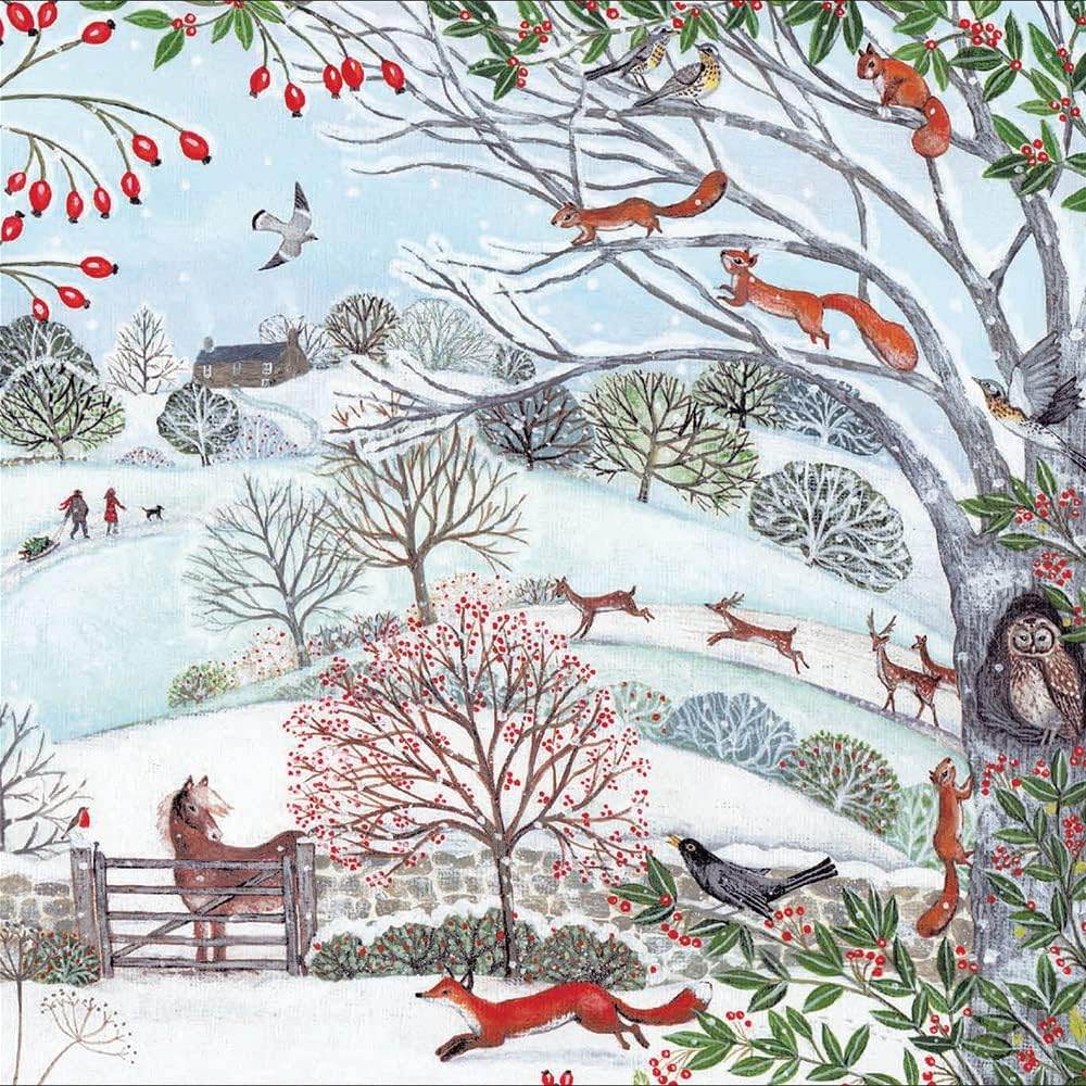 20 RSPB Assorted Charity Boxed Christmas Cards - House of Cards