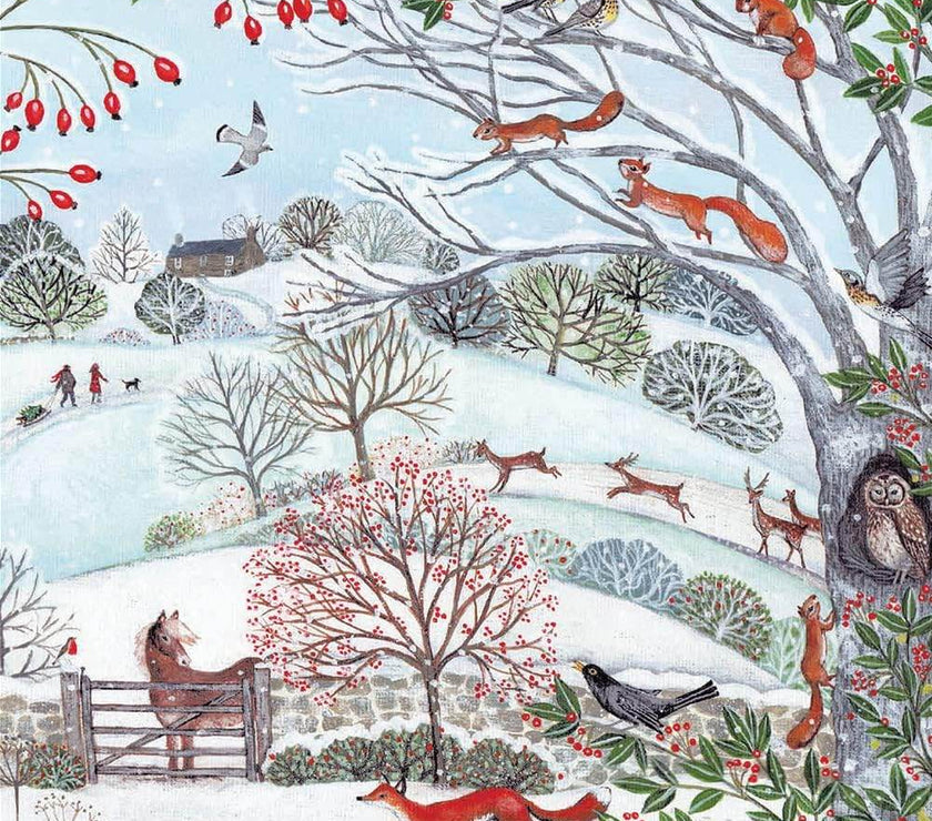 20 RSPB Assorted Charity Boxed Christmas Cards - House of Cards