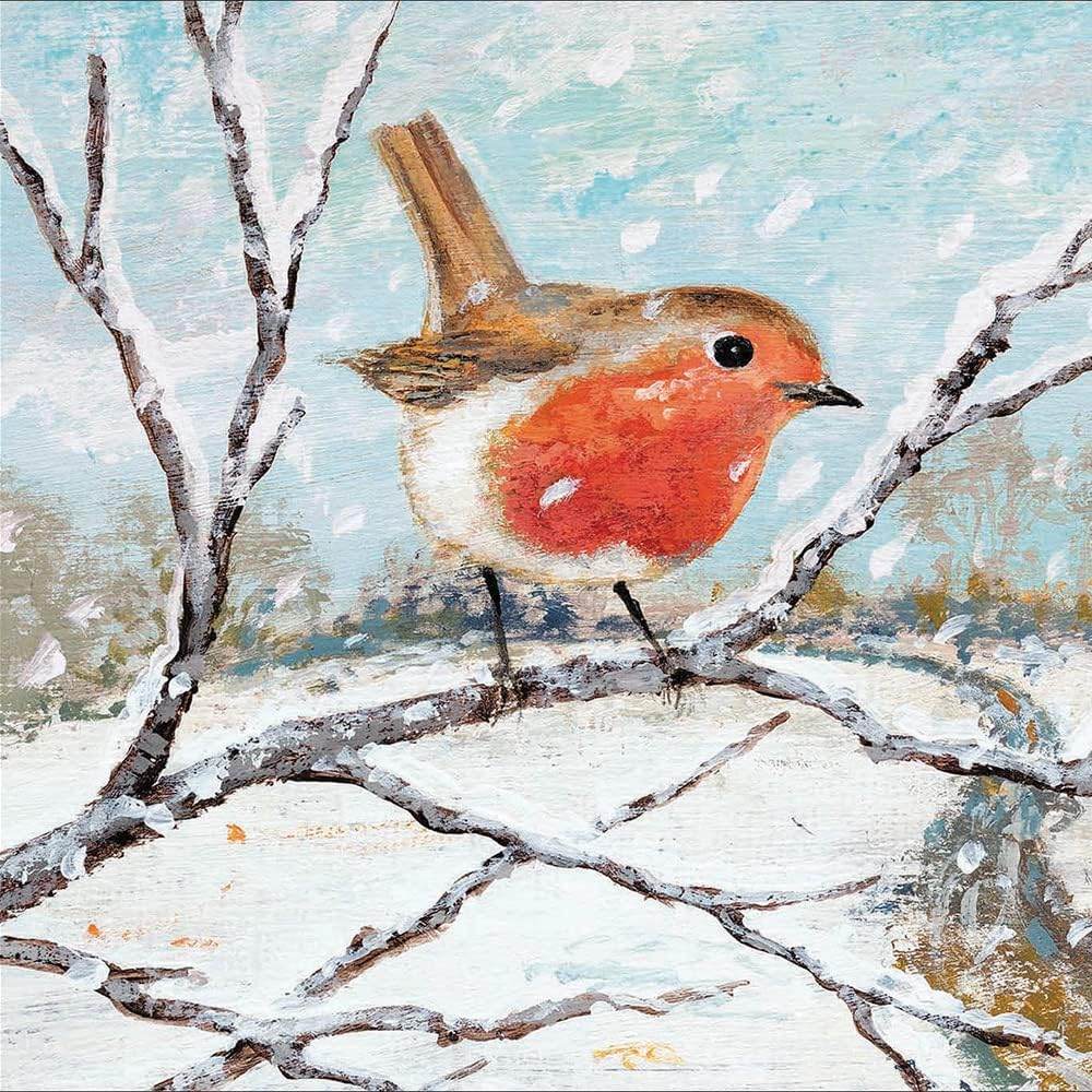 20 RSPB Assorted Charity Boxed Christmas Cards - House of Cards