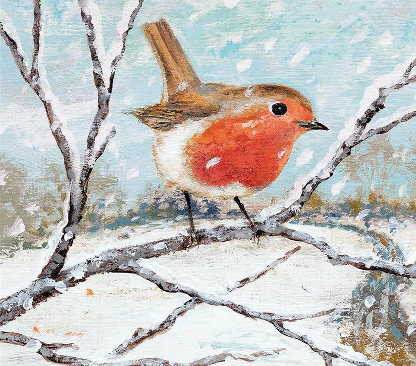 20 RSPB Assorted Charity Boxed Christmas Cards - House of Cards