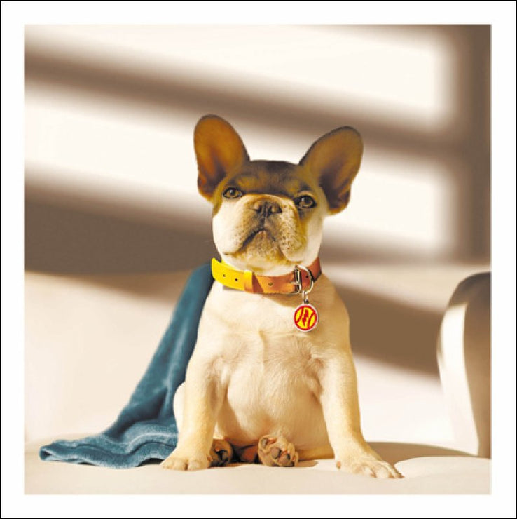 Radar The Vigilante Greeting Card