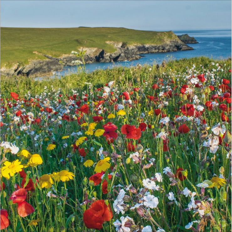 East Cornwall Greeting Card