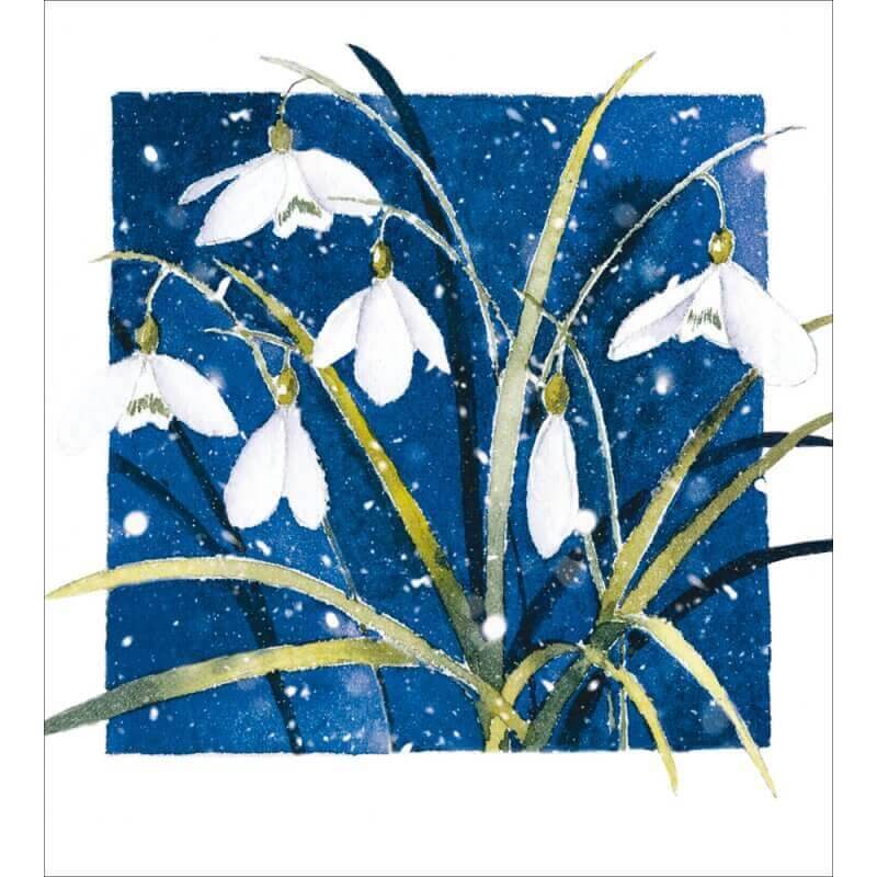 5 Snowdrops Charity Christmas Cards - House of Cards