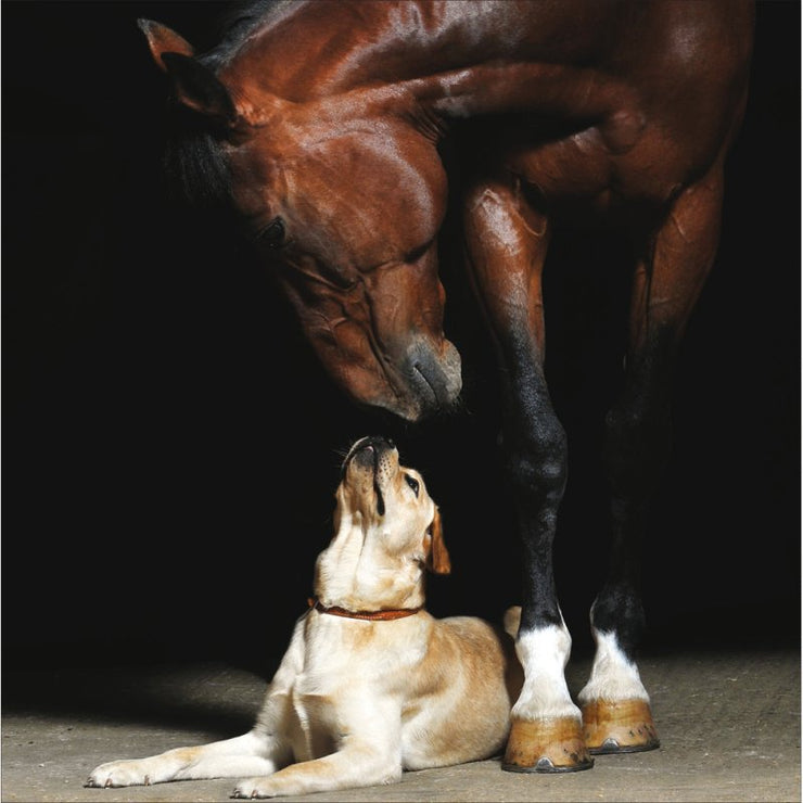 Friendship Greeting Card