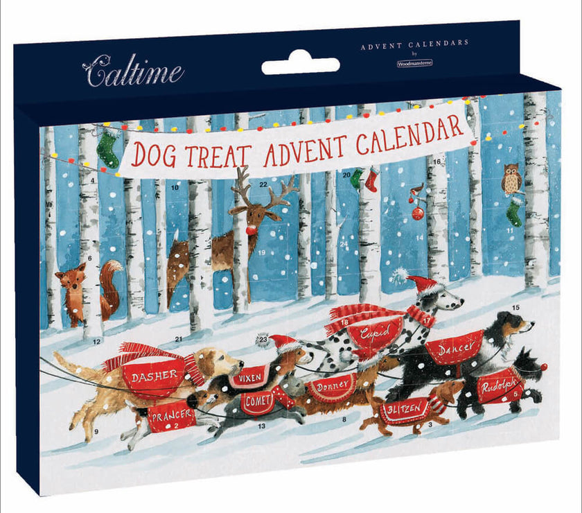 Dog Treat Advent Calendar