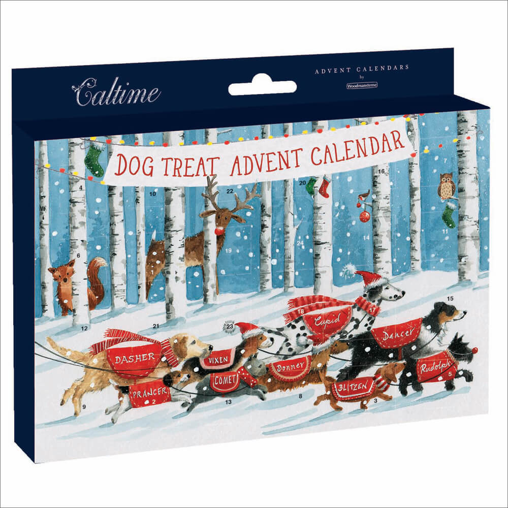 Dog Treat Advent Calendar