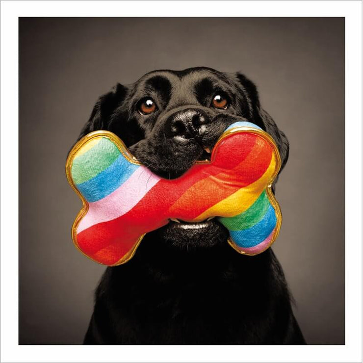 Rainbow Bone Birthday Card