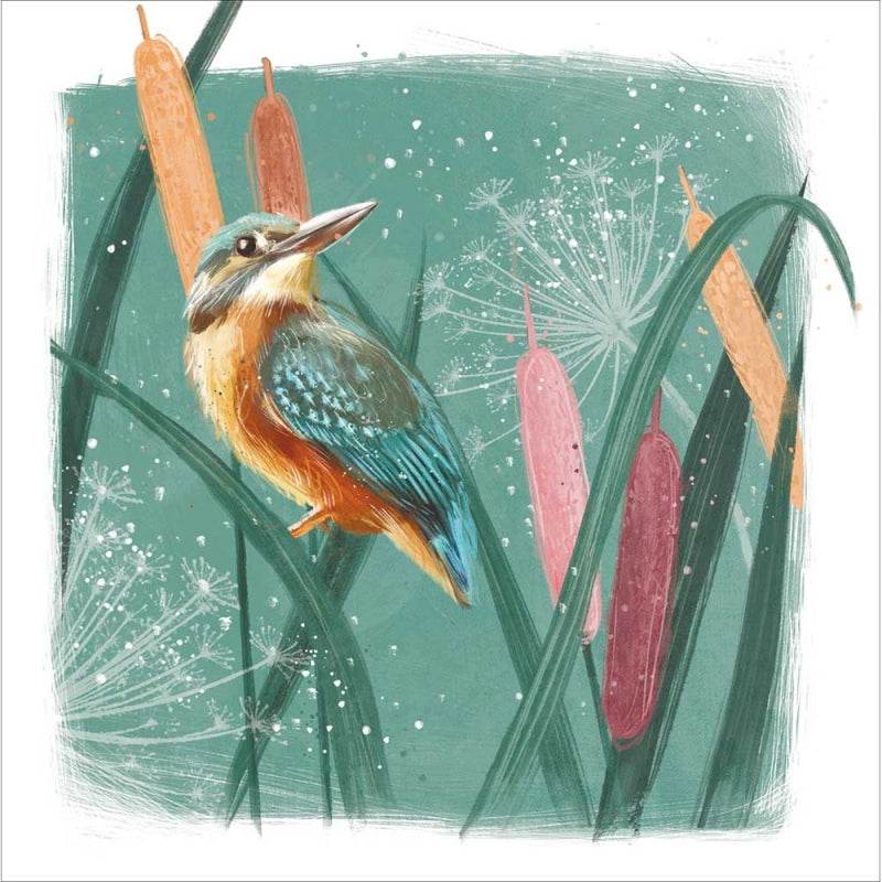 Kingfisher Birthday Card - House of Cards