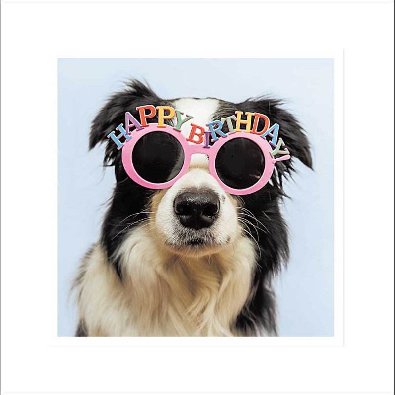 Party Pup Birthday Card - House of Cards