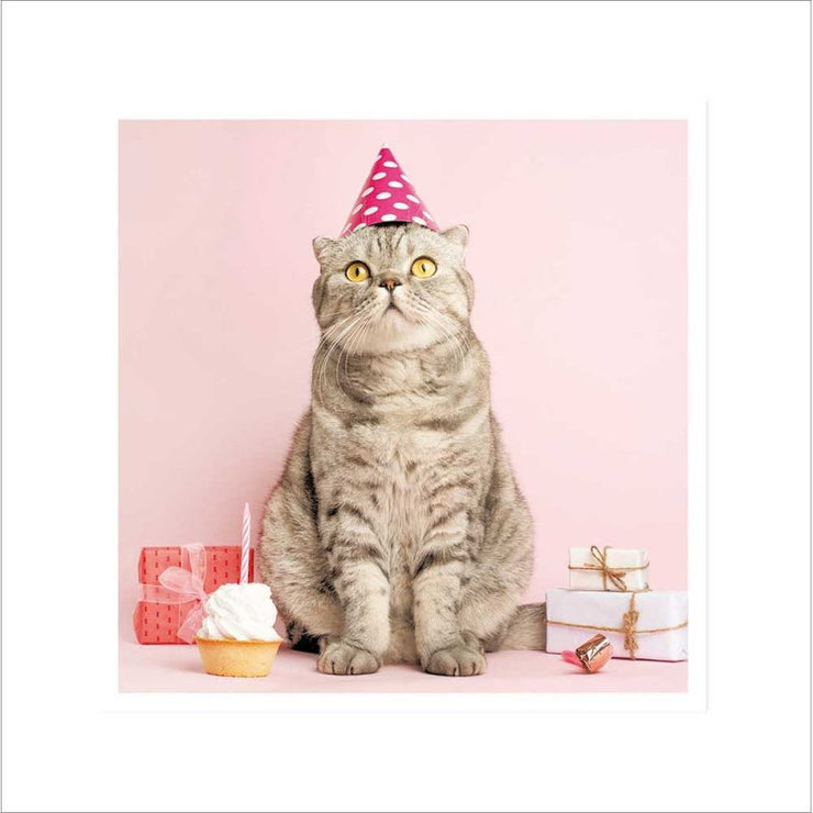 Cat in Hat Birthday Card