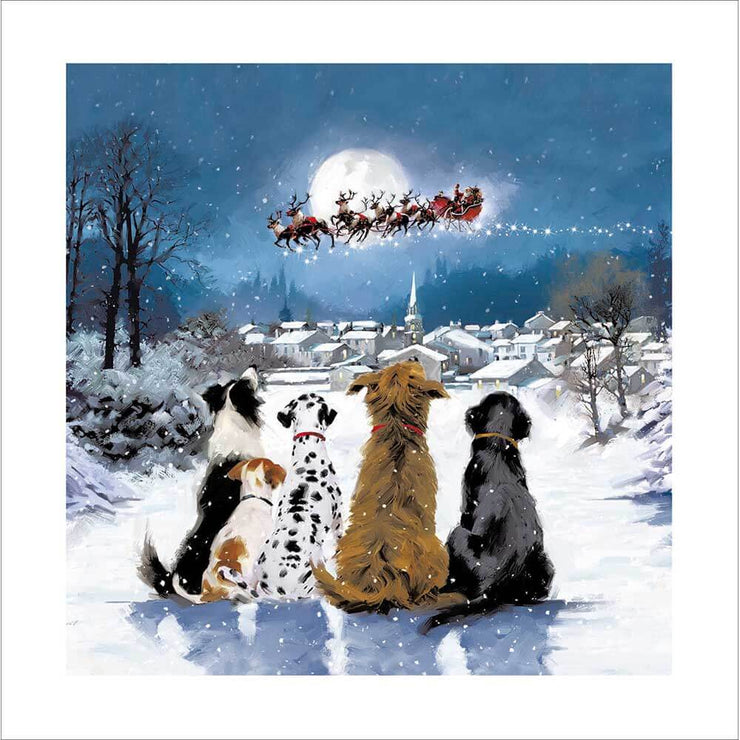 Dogs Watching Santa Christmas Card 2025