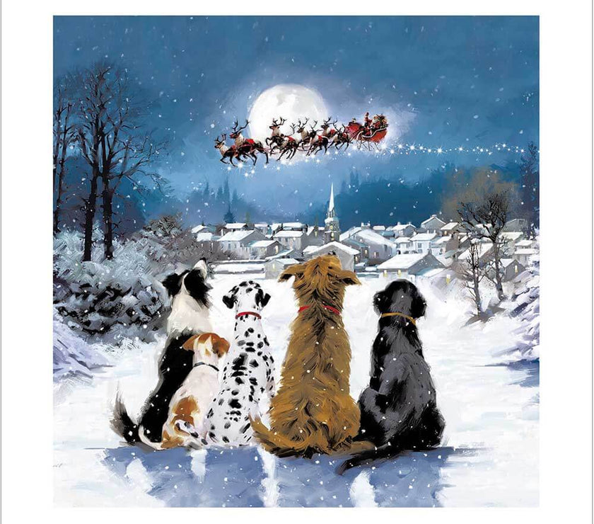 Dogs Watching Santa Christmas Card 2025