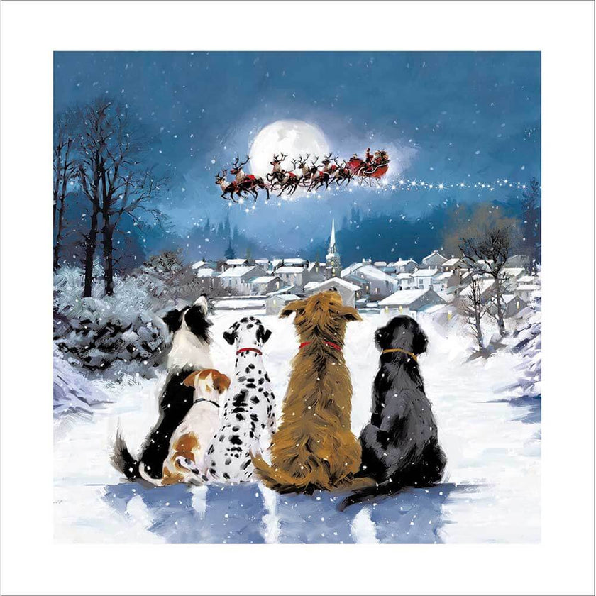 Dogs Watching Santa Christmas Card 2025