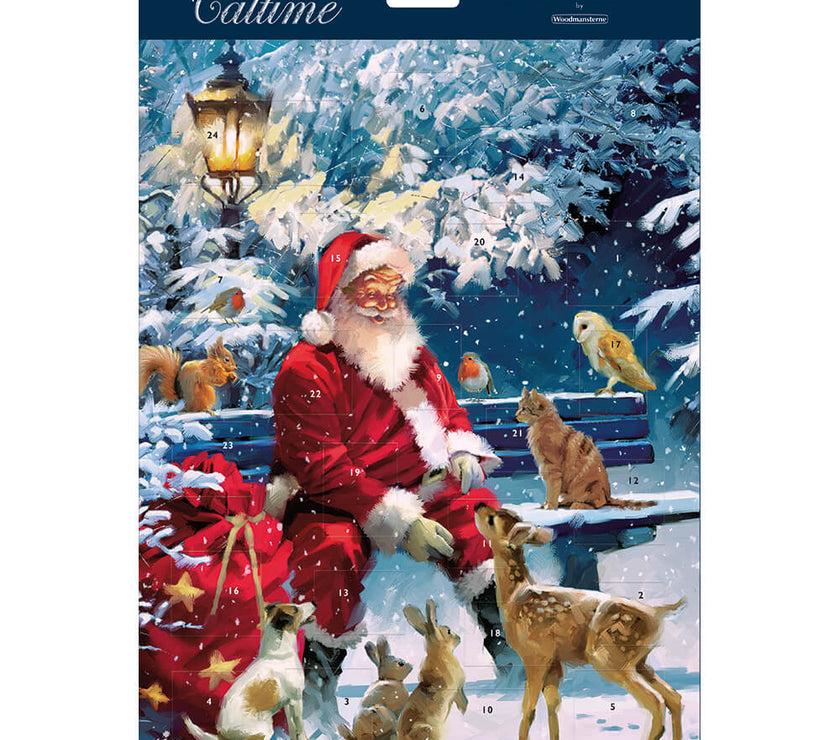 Exclusive Santa Bench Advent Calendar