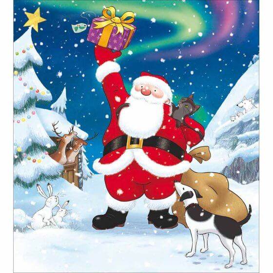 5 Briggs Father Christmas Charity Christmas Cards - House of Cards