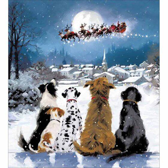 5 Dogs Watching Santa Charity Christmas Cards - House of Cards