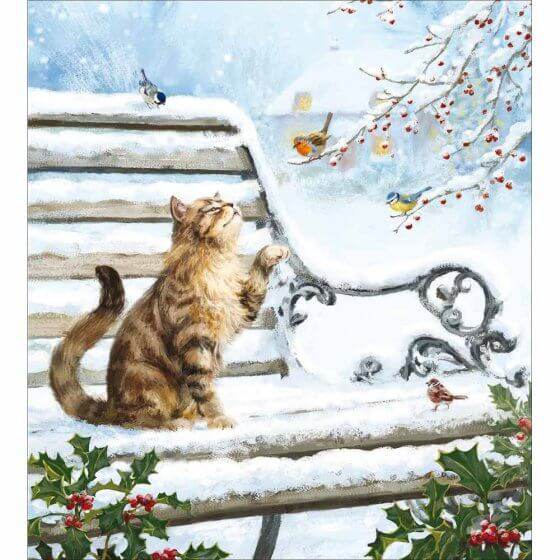 5 Cat and Robin Charity Christmas Cards - House of Cards