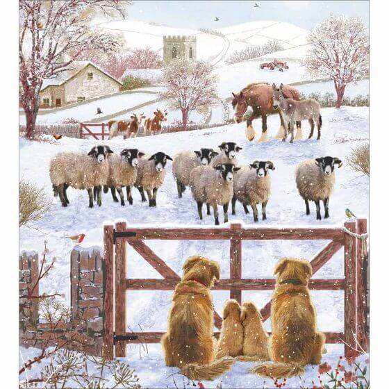 5 Dogs and Sheep Charity Christmas Cards - House of Cards