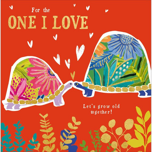 Tortoise One I Love Valentine's Card