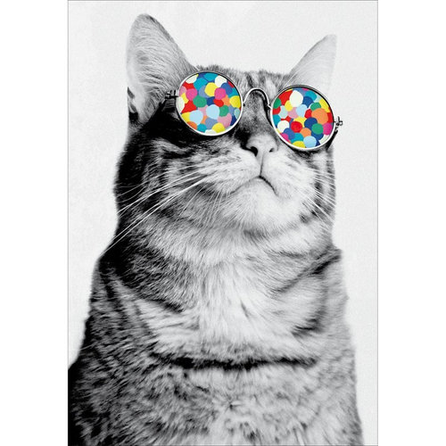 Bamboozle Cat Birthday Card