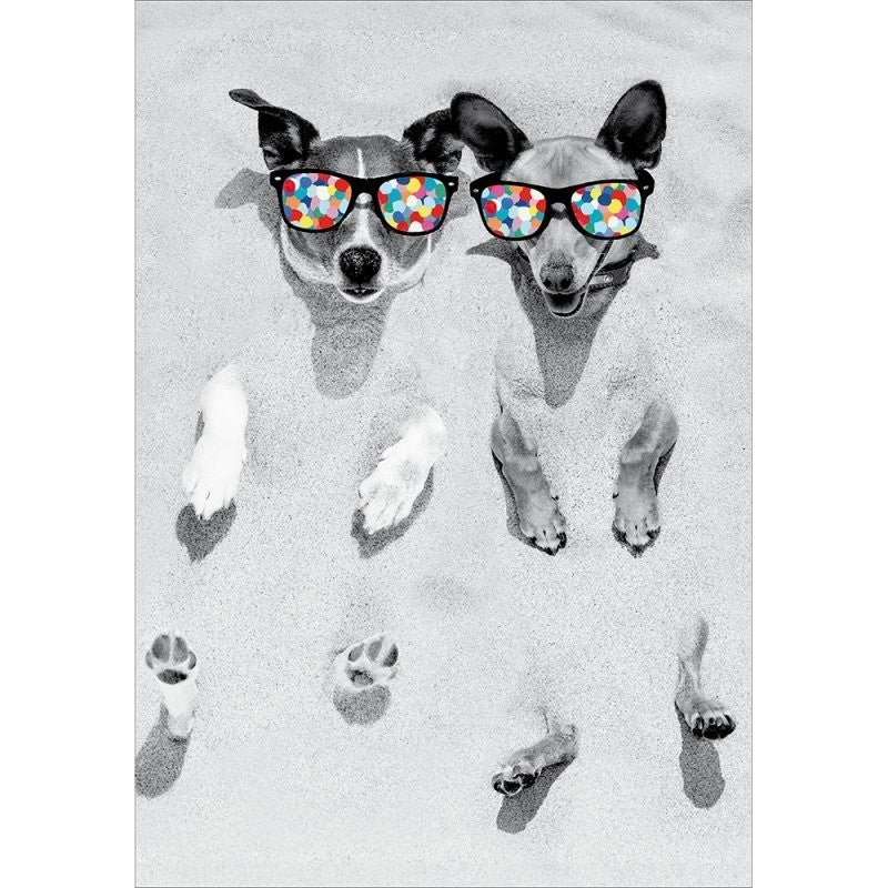 Bamboozle Dogs Birthday Card