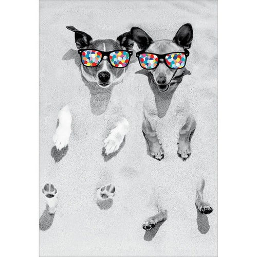 Bamboozle Dogs Birthday Card