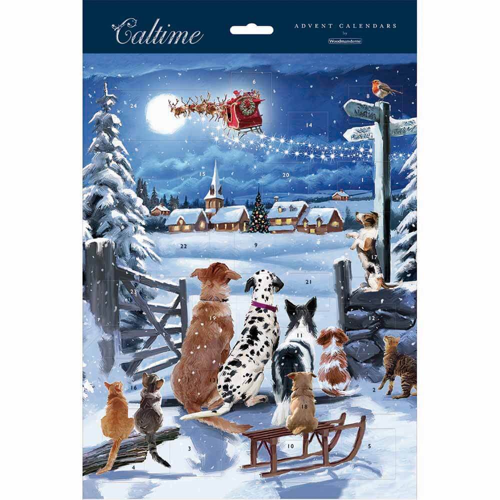 Exclusive Dogs Advent Calendar - House of Cards