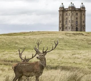 Lyme House Park Birthday Card