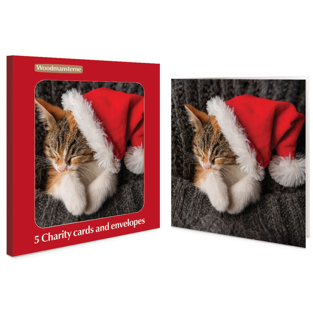 5 Cat in Santa Hat Charity Christmas Cards