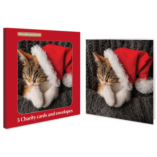 5 Cat in Santa Hat Charity Christmas Cards