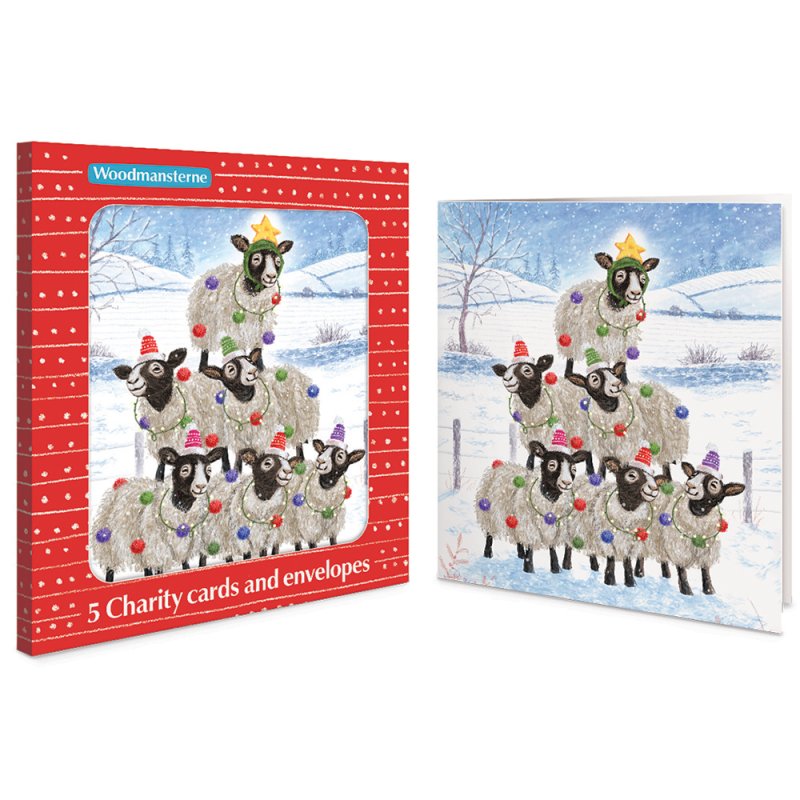 5 Sheep Pyramid Charity Christmas Cards