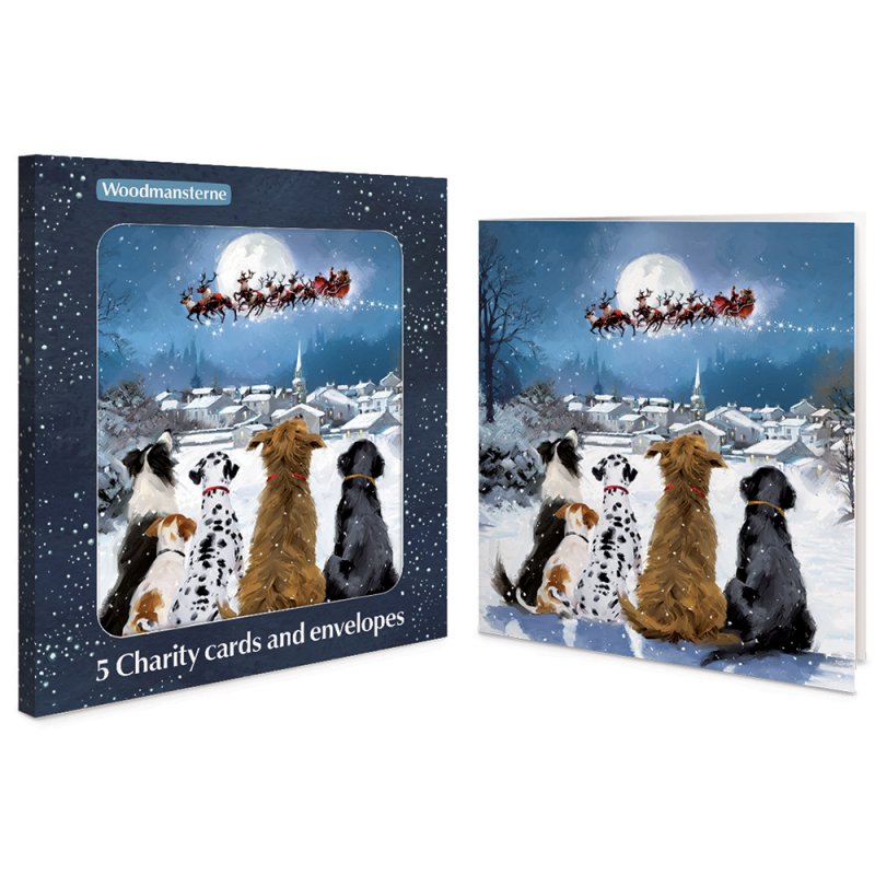5 Dogs Watching Santa Charity Christmas Cards