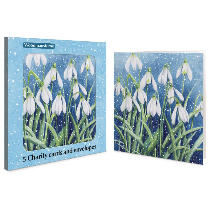5 Snowdrops Charity Christmas Cards