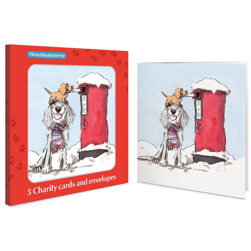 5 Dogs Postbox Charity Christmas Cards