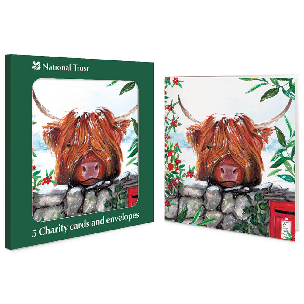 5 National Trust Highland Cow Charity Christmas Cards