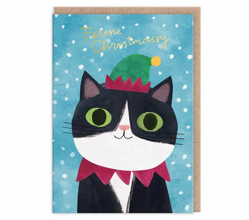 Cat Dress Up Christmas Boxed Cards